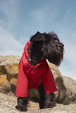Sarah Waterproof Dog Rain Jacket - Red