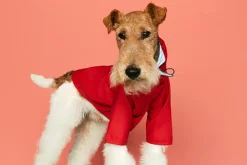Sarah Waterproof Dog Rain Jacket - Red