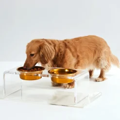Small Clear Double Pet Feeder with Gold Bowls & Tray