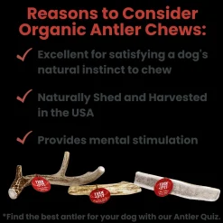 Split Elk Antlers for Dogs