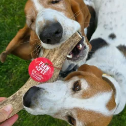 Split Elk Antlers for Dogs