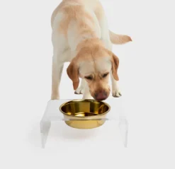 Stainless Steel Elevated Dog Bowl with Stand