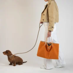Steve Casentino Dog Travel Mat