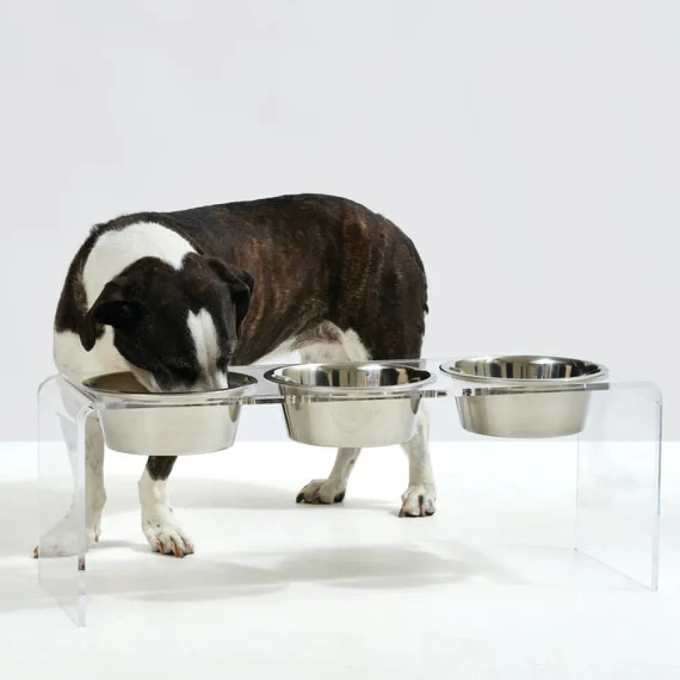 Three bowl elevated dog feeder with acrylic stand and lead-free stainless steel bowls