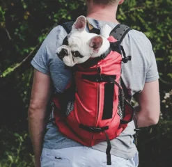 Trainer | Puppy & Small Dog Carrier Backpack