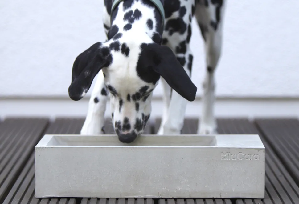 Trogolo Concrete Dog Trough For Outdoors & Garden