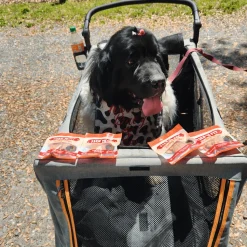 Turkey Chip Snack Pack Bundles