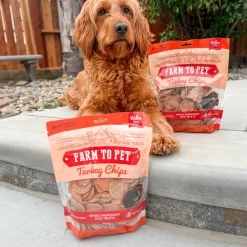 Turkey Chips for Dogs
