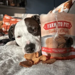 Turkey Chips for Dogs