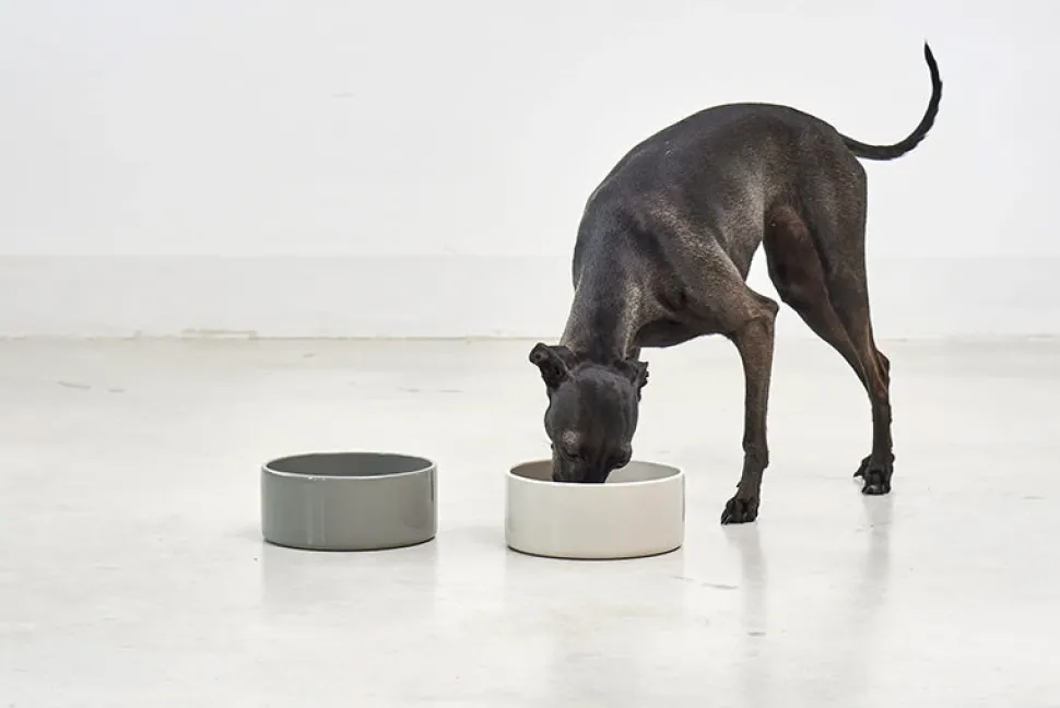 Two Scodella High Quality Porcelain Dog Bowls For Large Size Dogs