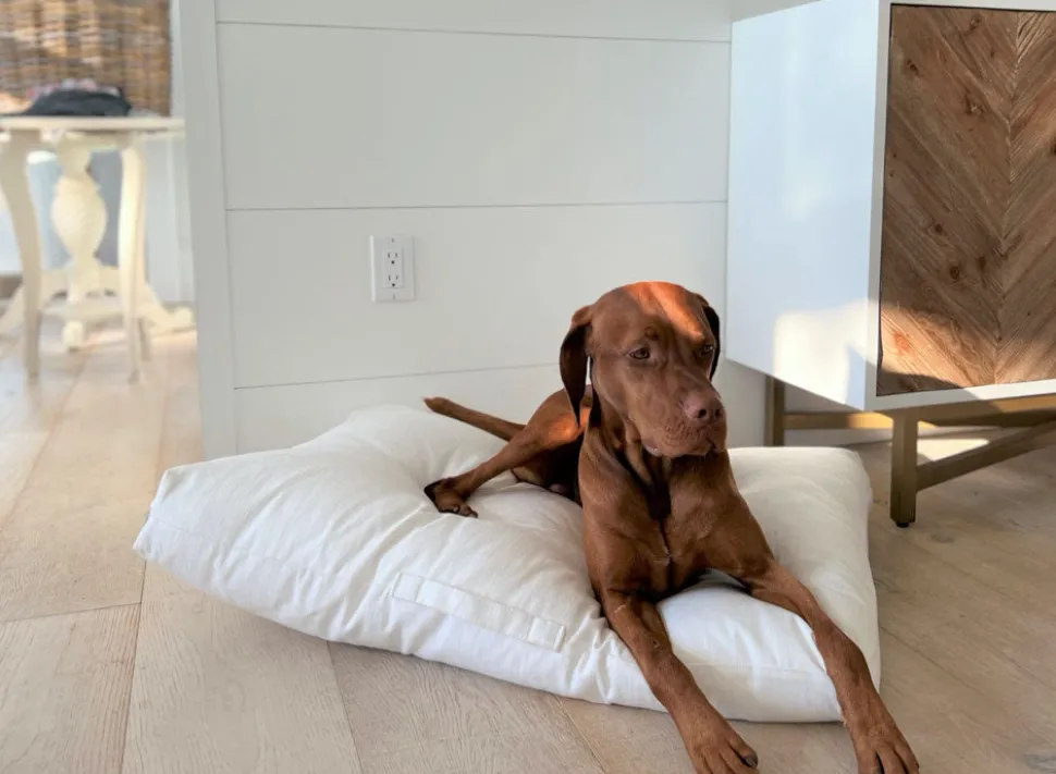 Washed white cotton linen dog cushion for large dogs