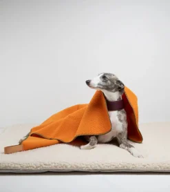 Water-resistant Casentino Wool Dog Blanket