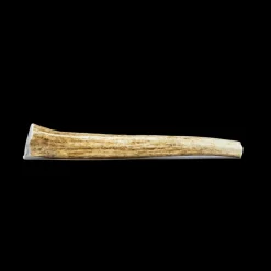 Whole Elk Antlers for Dogs