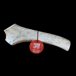 Whole Elk Antlers for Dogs