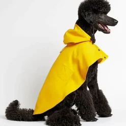 William Waterproof Dog Cape